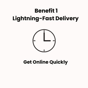 lightning fast delivery